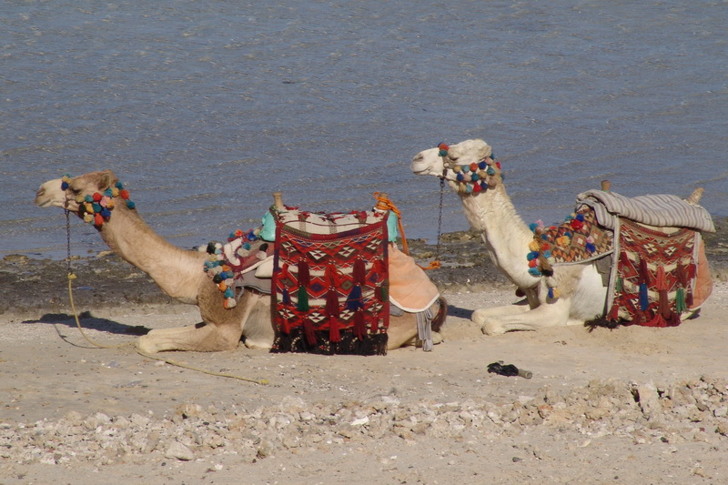 Egypt, Marsa Alam